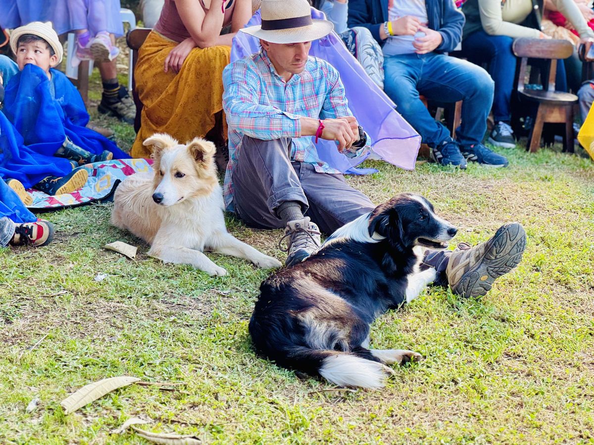 Two dogs stretched out in the circle next to the families